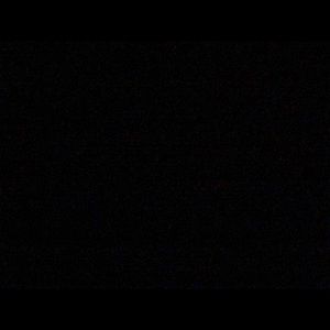 Meet your Posher, Leo